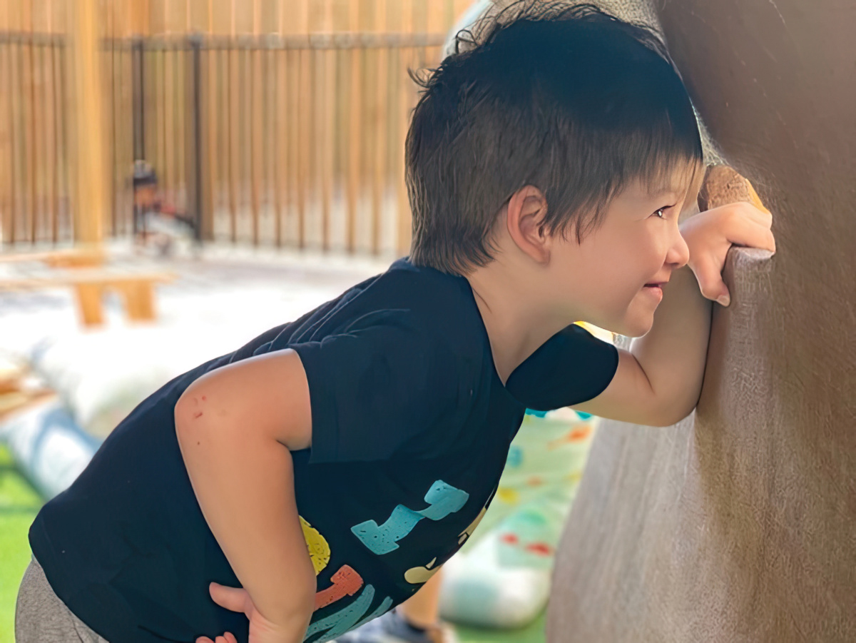 Fingerprint Entry, Fences, & Cameras Protect Your Child