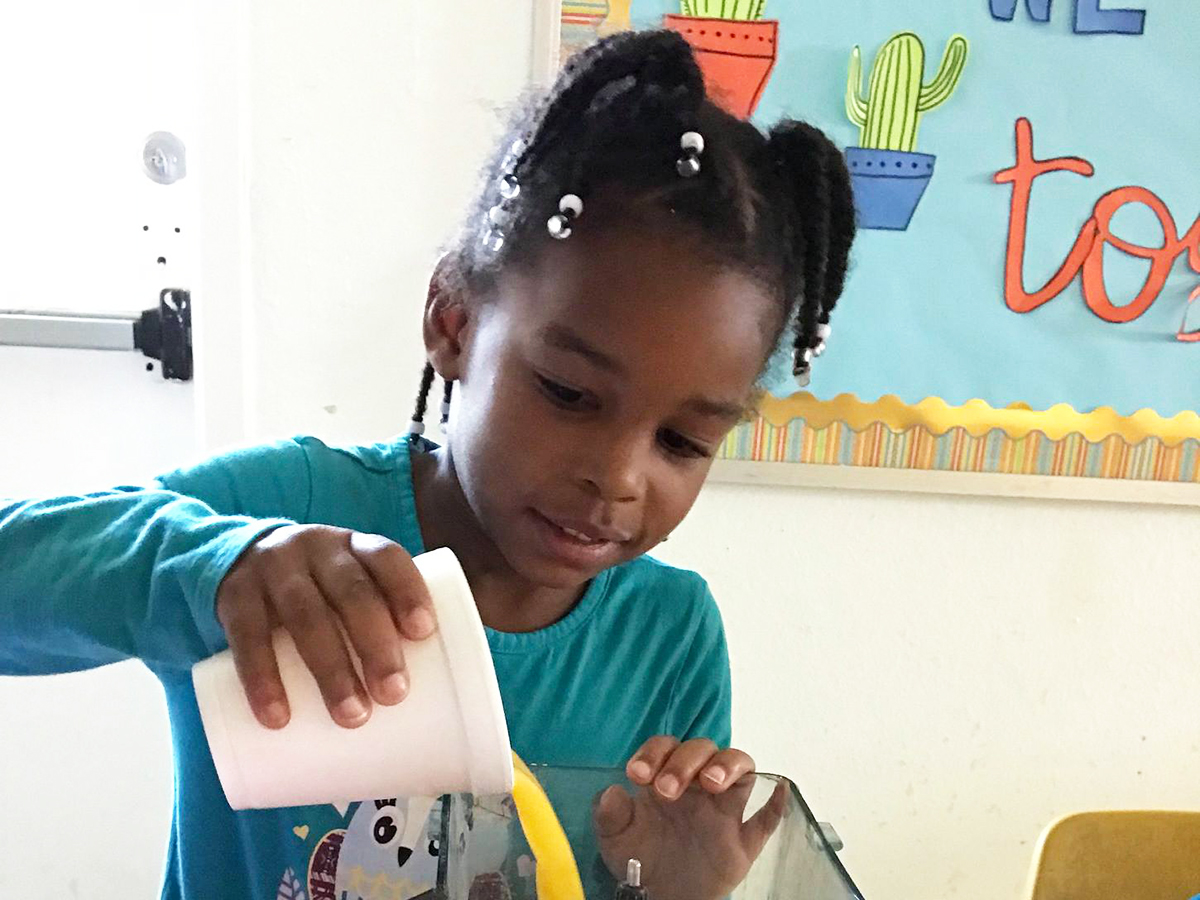 Your Child Enjoys All The Tasty Summer Camp Snacks